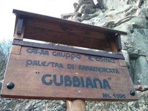 Gubbiana