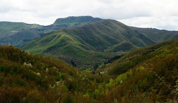 GITA IN VALLESANTA DA BANZENA A BADIA PRATAGLIA: Domenica 16 febbraio 2020