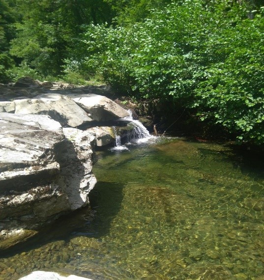 7 Agosto 2022  Risalita del torrente Fiana (Montemignaio)