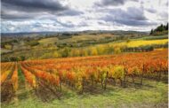 10 Novembre 2024: Foliage nel Chianti