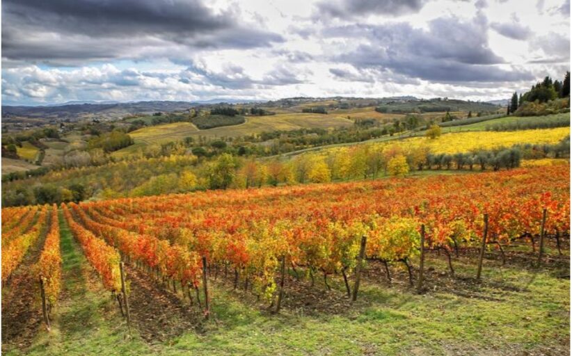 10 Novembre 2024: Foliage nel Chianti